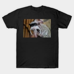 Emperor Tamarin T-Shirt